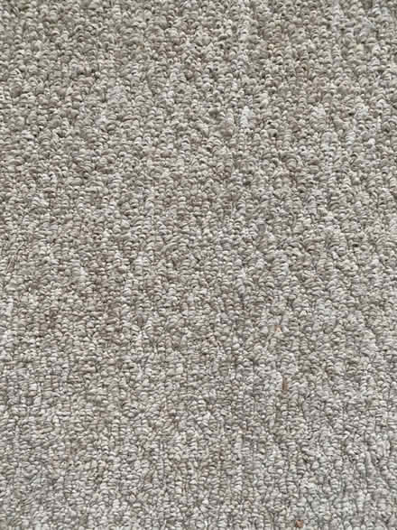 Photo of free 3 bedrooms of Berber carpet (2020) (Rengsdorf Mountain View) #1