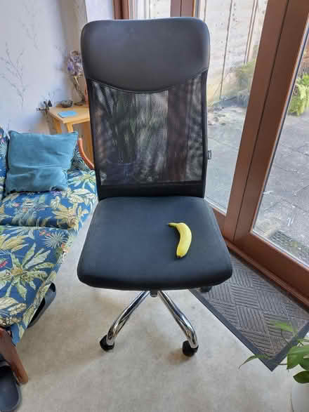Photo of free Office/Desk Chair (Ipswich IP4) #2
