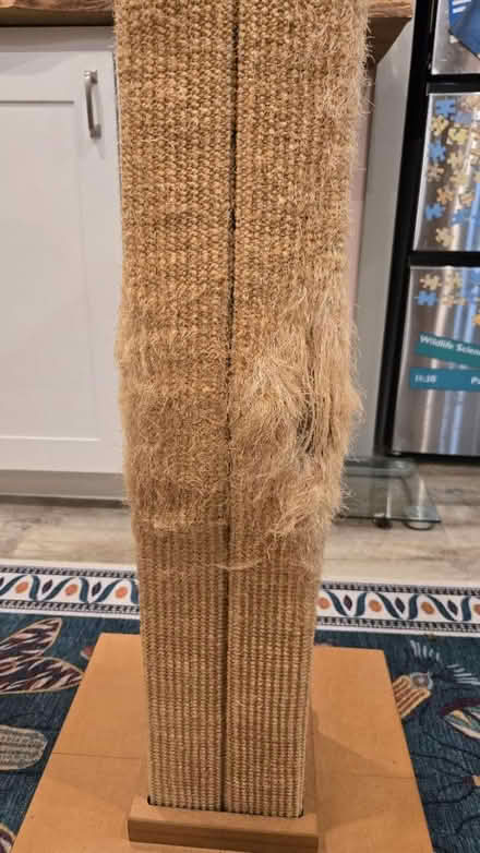 Photo of free Cat scratching post (Broadview) #2
