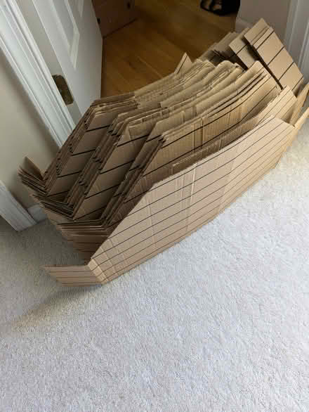 Photo of free Ikea Rad Magazine organizers (North Wales/Montgomeryville) #1