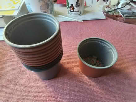 Photo of free Small 3in flower pots x12 (Shirley SO16) #1