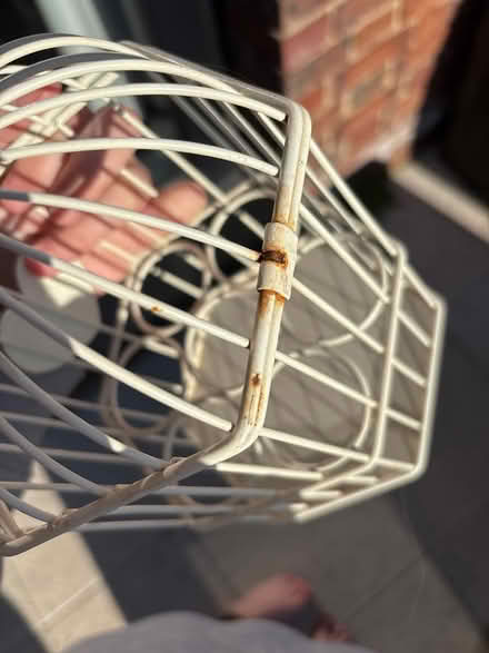 Photo of free Egg storage (Alfold gu6) #2