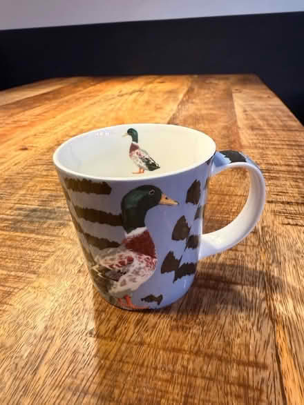 Photo of free Duck cup (Winchester SO22) #1