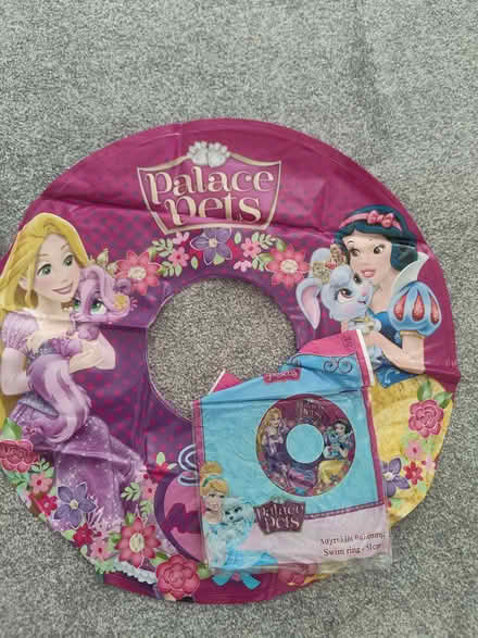 Photo of free Swimming rings (Various) and Costumes for kids X2 (Kelham Island S3) #1