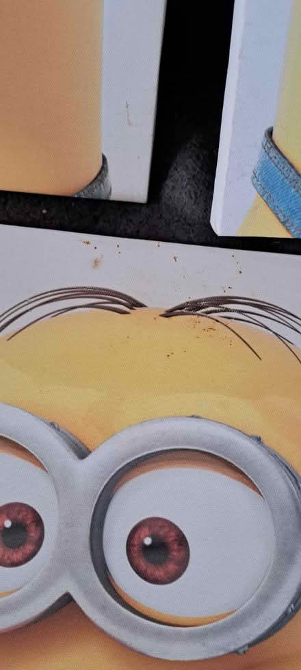 Photo of free Despicable me canvases (CR0) #2
