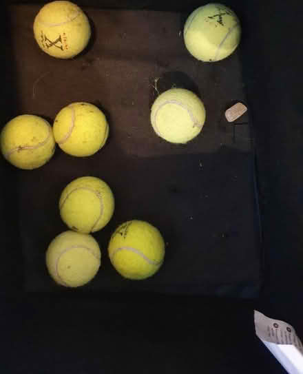 Photo of free Tennis balls (Finchampstead RG40) #1