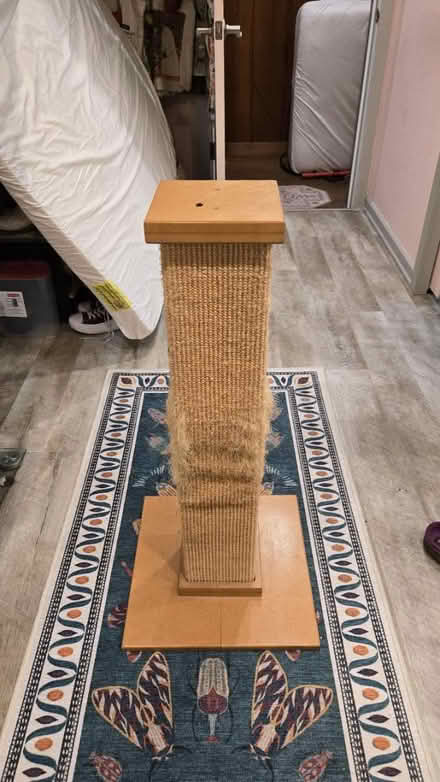 Photo of free Cat scratching post (Broadview) #1