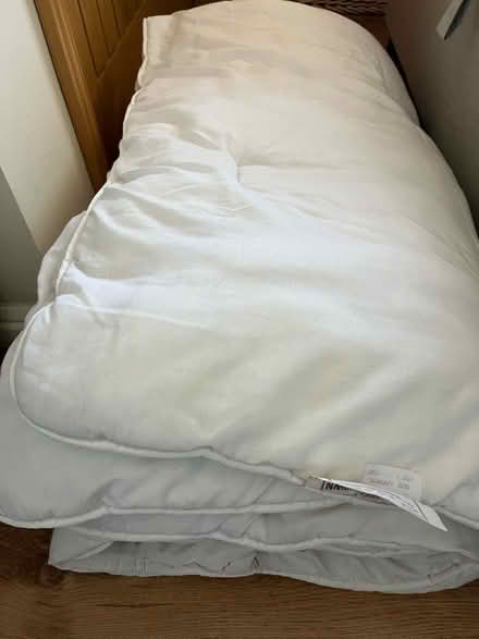 Photo of free Double 13.5 tog duvet (Stanstead Abbotts SG12) #2