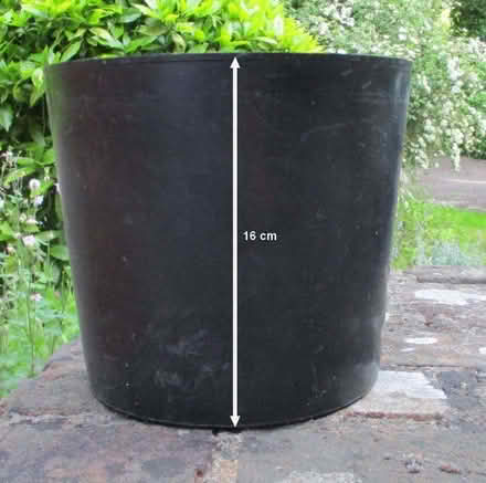 Photo of free Black flexible plastic flowerpots (New Marston OX3) #2