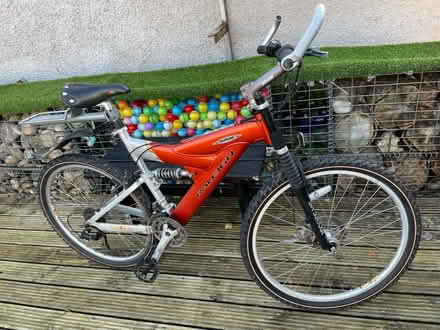 Photo of free Adult Bike (Netherfield, Kendal LA9) #1