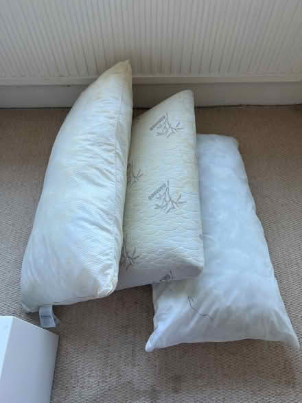 Photo of free 3 old pillows (Cr2) #1