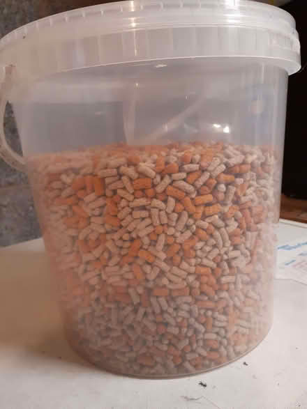 Photo of free Fish food (Gamston CP NG2) #1