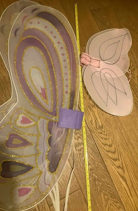 Photo of free Nylon pretend ‘wings’ (High Barnet) #1