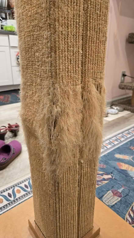 Photo of free Cat scratching post (Broadview) #3