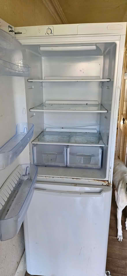 Photo of free Fridge Freezer (Dursley GL11) #2