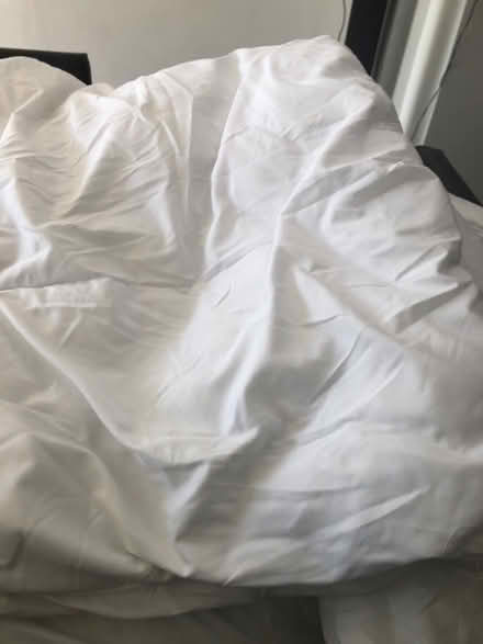 Photo of free Duvet king size (South Malling BN7) #1