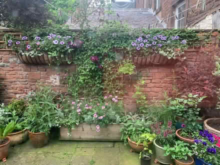 Photo of free Wall-hanging garden troughs (Penrith CA11) #1