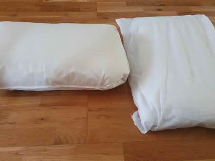 Photo of free Two pillows (W5 Ealing) #1