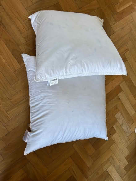 Photo of free 2 x Pillows, duck-feathered (NW8 6EL) #1