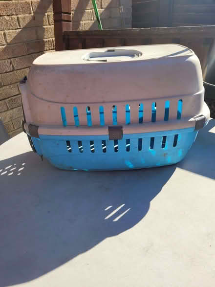 Photo of free cat carrying case (Shenley Lodge MK5) #1