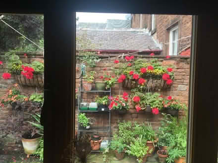 Photo of free Wall-hanging garden troughs (Penrith CA11) #4