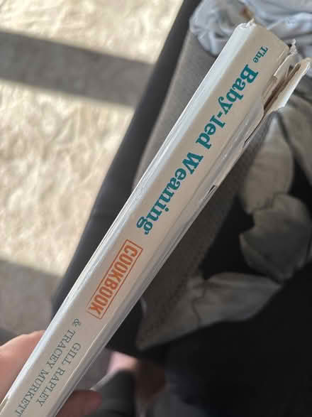 Photo of free The Baby Led Weaning Cookbook (Alfold gu6) #2