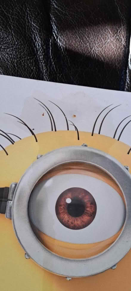 Photo of free Despicable me canvases (CR0) #3
