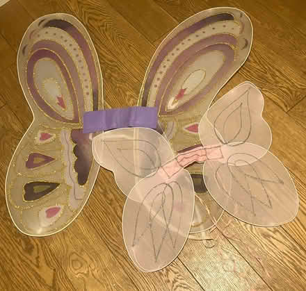 Photo of free Nylon pretend ‘wings’ (High Barnet) #2