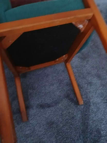 Photo of free Reception chairs (Feltwell) #3