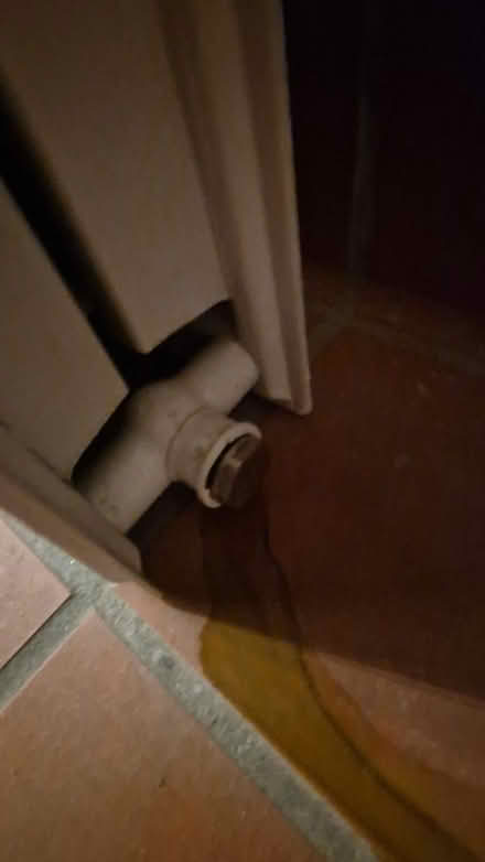 Photo of free Small radiator (Hutchesontown Court G5) #4