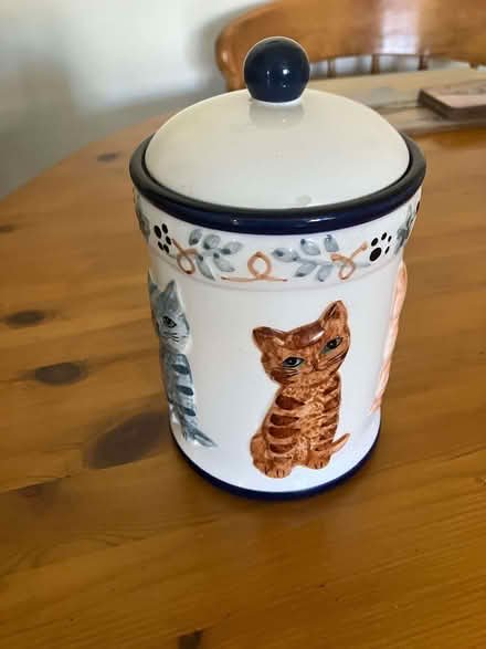 Photo of free Cat biscuit container (Bearwood Colledge RG41) #1