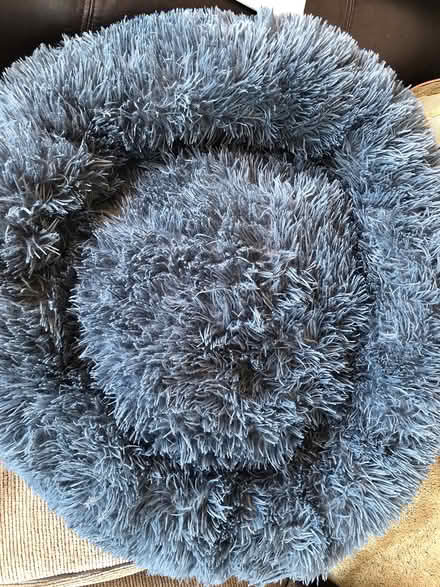 Photo of free Dog Bed (DA12) #1