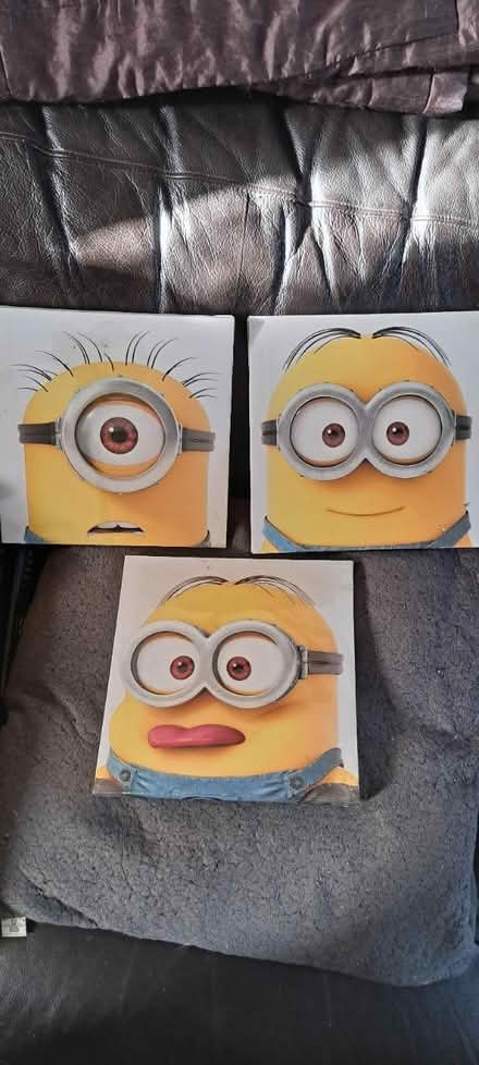 Photo of free Despicable me canvases (CR0) #1