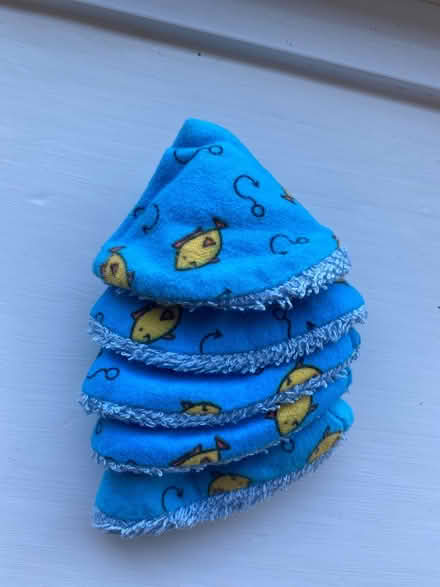 Photo of free Pee pee teepee (S11 High Storrs) #1