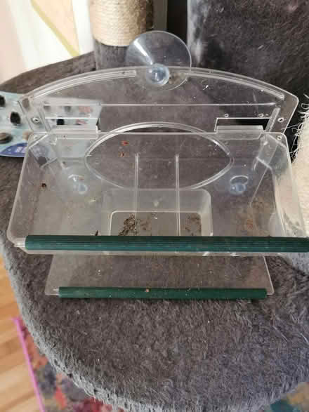Photo of free Window bird feeder, Old Woking (Woking, GU22) #1