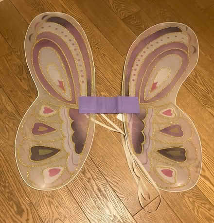 Photo of free Nylon pretend ‘wings’ (High Barnet) #4