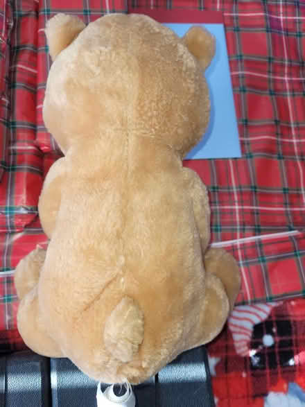 Photo of free Soft toy (Fareham PO15) #3