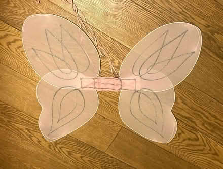 Photo of free Nylon pretend ‘wings’ (High Barnet) #3