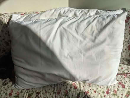 Photo of free Old pillows (New Marston OX3) #1