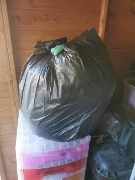 Photo of free Bean bag beans (IP1) #1