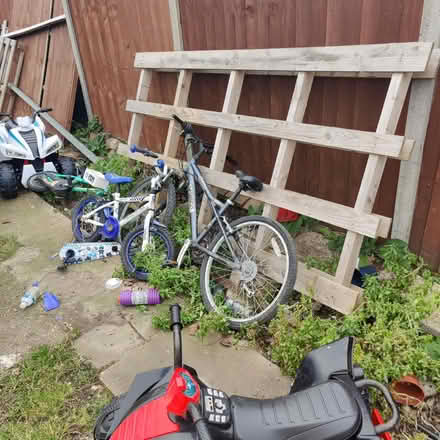 Photo of free 3 pallets (Hanworth TW13) #3