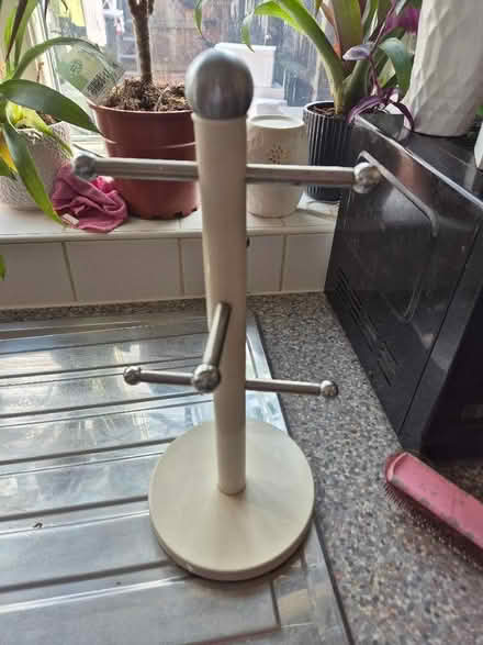 Photo of free Cup tree (Loughborough LE11) #1