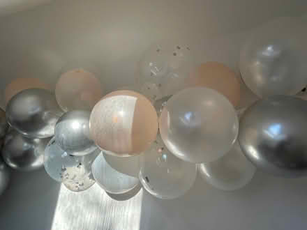 Photo of free Party Balloons / Decorations (South Cambridgeshire CB22) #2