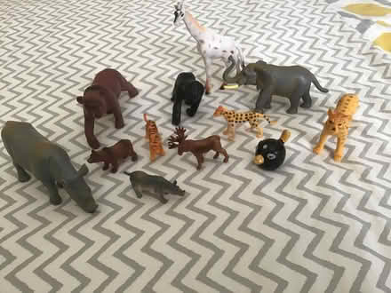 Photo of free Plastic Animals (Longlevens GL2) #1