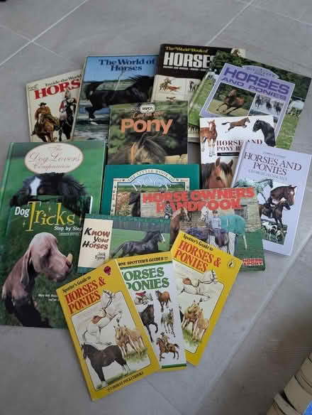 Photo of free Selection of horse/pony care books (Henleaze BS9) #1