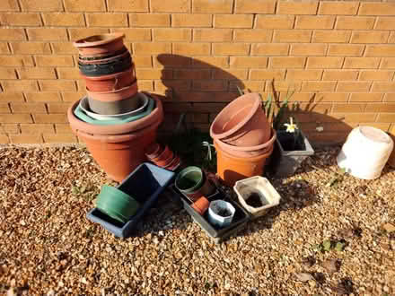 Photo of free Big plant pots (Orton Longueville CP (Peterborough)) #1
