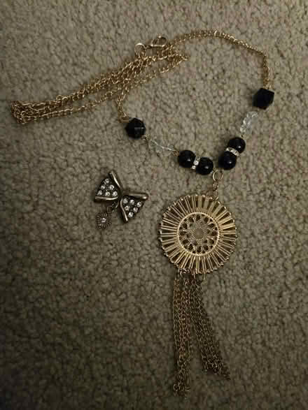 Photo of free Necklace and pin (Westminster) #1