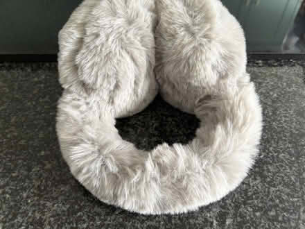 Photo of free Ear muffs (Weybridge) #2