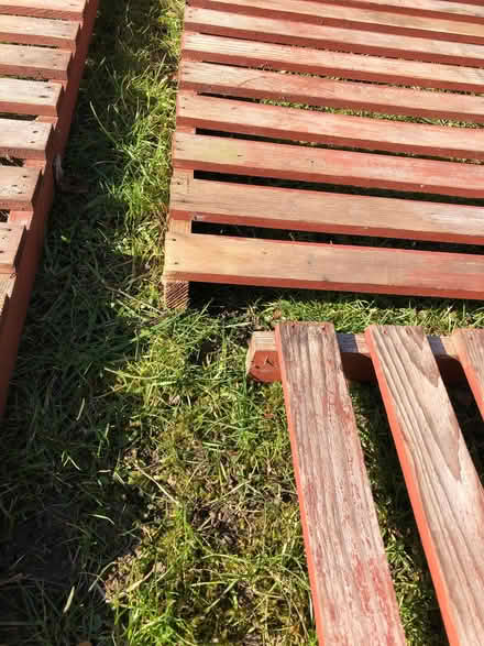 Photo of free Wooden Slatted Shelving/Boarding (Harrogate HG2) #2