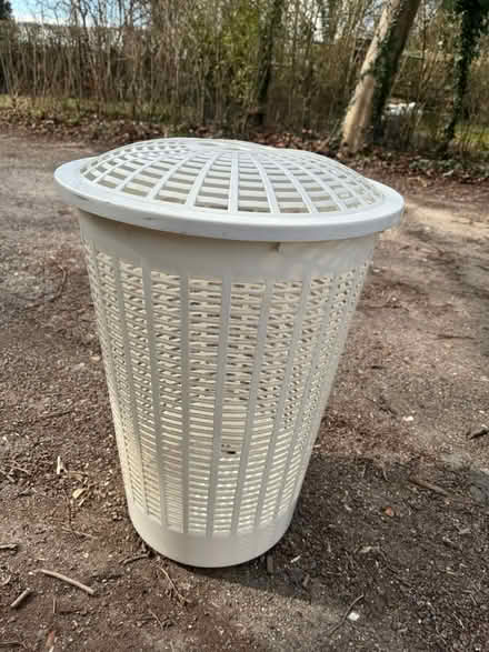 Photo of free Wash bin (Salisbury SP5) #2